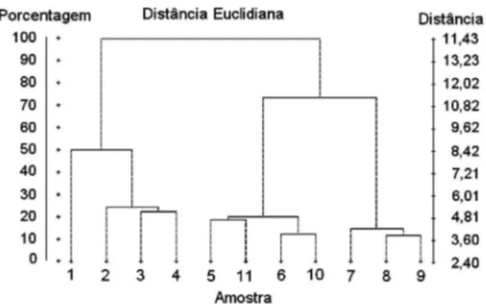 Figura 2. Agrupamento pela variância mínima e distância euclidiana usando- usando-se a análiusando-se multivariada para o conjunto de dados das amostras estudadas