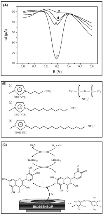 Figura 3. (A) Voltamogramas de onda quadrada obtidos usando (a) EPC não  modiicado, (b) BMI.NTf 2 -lacase, (c) DMI.NTf 2 -lacase, (d) TDMI.NTf 2 -lacase  contendo 3,60 x 10 -5  mol L -1  rutina em solução tampão acetato (0,1 mol L -1 ;  pH 5,0) e (B) estru