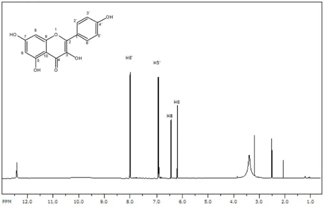 Figura 13S. Espectro de RMN de  1 H do kaempferol (7)
