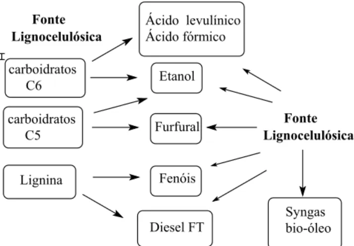 Figura 5. Processos de conversão de biomassa