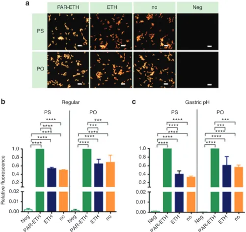Figure 2  Effect of fixation/permeabilization of H. pylori on the hybridization efficiency by PS and PO