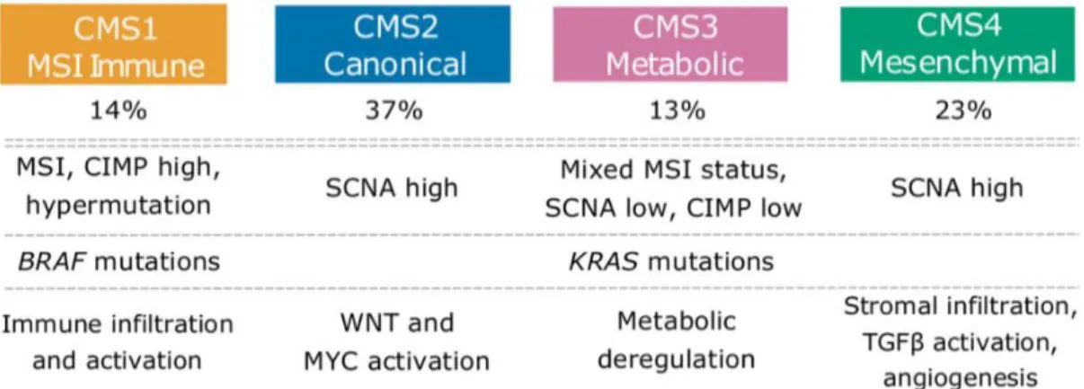 Figure  6.  The  consensus  molecular  subtypes  of  CRC  |  As  the  TME  is  now  seen  as  a  crucial  intervenient  in  tumor  progression, a new microenvironment-based classification of CRC tumours has been established