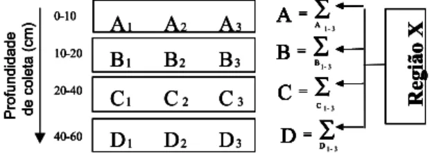 Figura  1.  Esquema  dos  procedimentos  utilizados  na  coleta  das  amostras  de solos