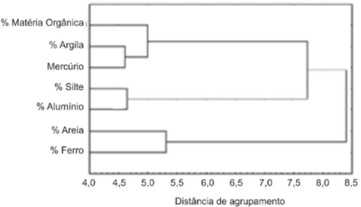 Figura 5. Dendrograma das amostras coletadas em diferentes profundidades na região do Rio Aracá, Bacia do Rio Negro - AMFigura 4