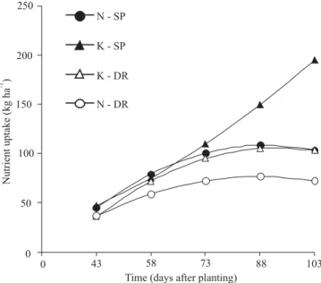 Table 5. Nutrient uptake efficiency (1)  in potato plant in T6, in drip and sprinkler-irrigated experiments (2) .