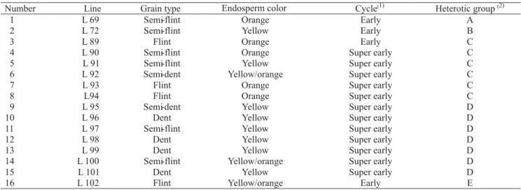Table 1. Characterization of lines employed with regard to grain type, endosperm color, cycle, and heterotic groups.