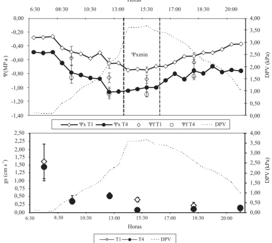 Figura 2. Evolución diaria del potencial hídrico xilemático (Ψx), del potencial hídrico foliar (Ψf) (gráfico superior), y de la conductancia estomática (gs) (gráfico inferior), durante el día 79 ddb, temporada 2003/2004