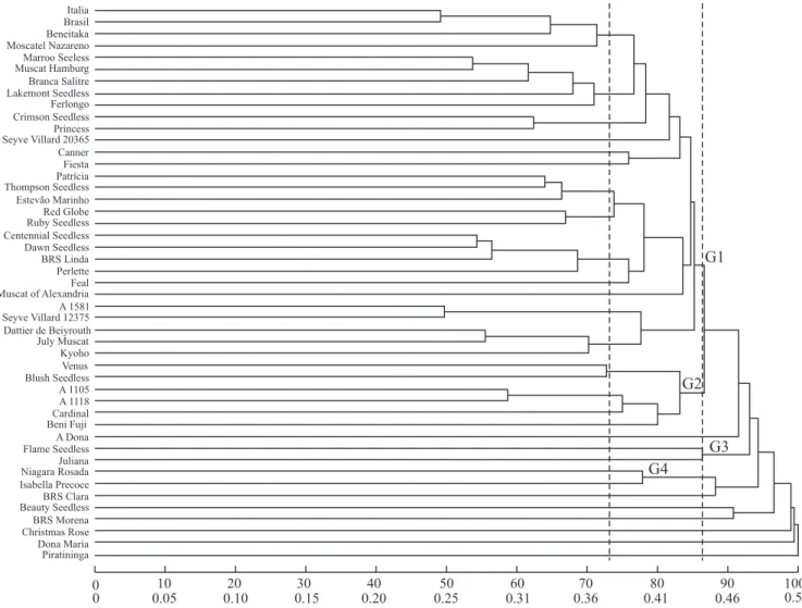 Figure 1. Cluster analysis of 47 table grape accessions by the UPGMA clustering using Jaccard’s dissimilarity index, based  on 111 RAPD molecular markers