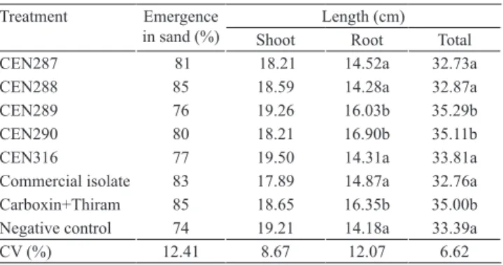 Table  2. Emergence in sand 10 days after sowing (DAS),  and root, shoot, and total length of 'Jalo Precoce' common  bean  plants  (14  DAS)  grown  in  substrate  treated  with  Trichoderma harzianum under greenhouse conditions (1) .
