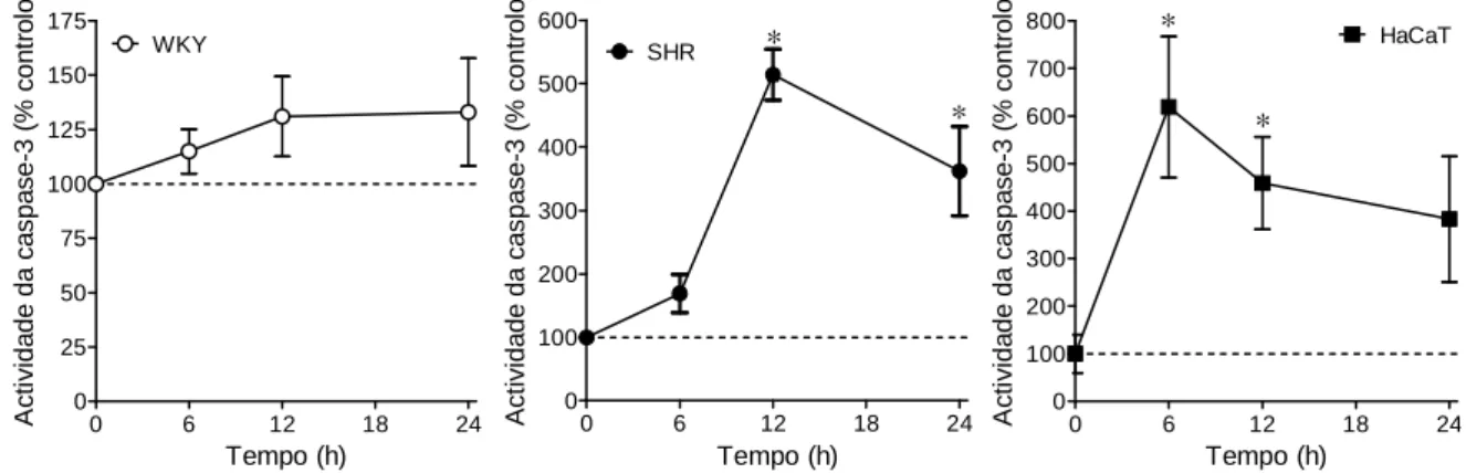 Figura  3  –  Aumento  da  atividade  da  caspase-3  após  tratamento  com  H 2 O 2   nas  células  SHR e HaCaT