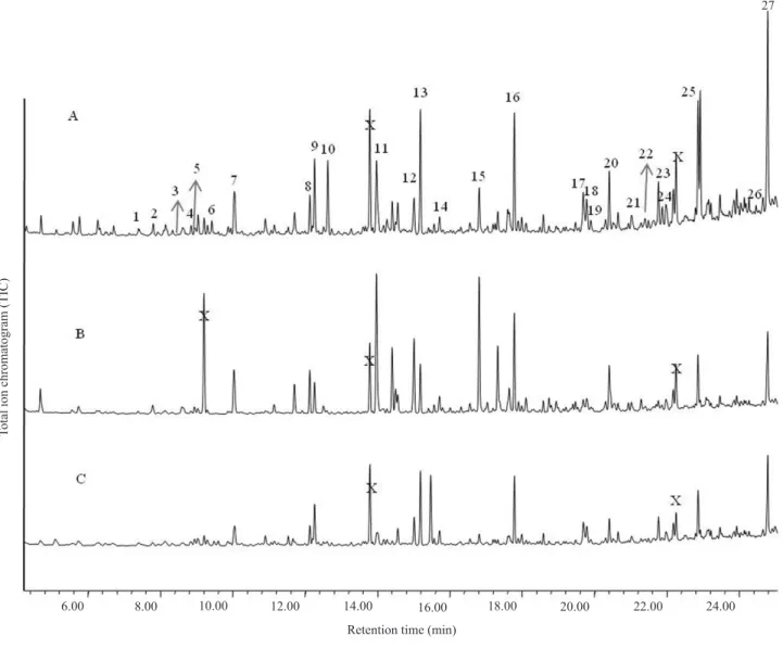 Figure 2. Chromatogram profile of the volatiles released by corn. A, corn plants damaged by Elasmopalpus lignosellus larvae; B, undamaged  plants; C, manually damaged plants