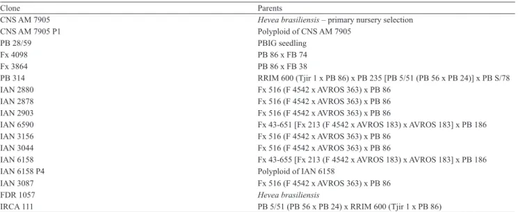 Table 1. Clones evaluated and their parents, Manaus, AM, Brazil (1) .