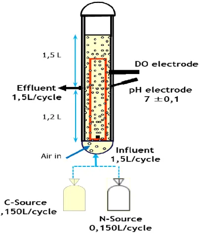 Figure 4. Schematic lab scale reactor set-up. 