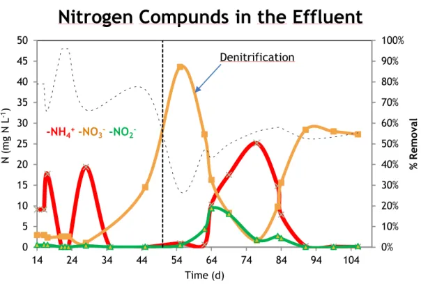 Figure 9. Nitrogen compounds concentrations in the effluent. 
