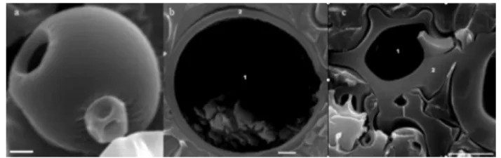 Figura 2. Micrografia eletrônica de varredura apresentando: (a) a presença  de um poro aberto na microcápsula CAP 100 (Barra = 1 µm); (b) a  micro-estrutura interna de uma microcápsula esférica lisa (Barra= 1 mm) e (c) a  microestrutura interna de uma micr