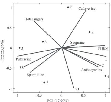 Figure 1.   Principal  component  analysis  of  grape  ( Vitis  labrusca ) juices and their characteristics. PHEN, phenolic  compounds; L, lightness; C, chromaticity; and SS, soluble  solids. Cultivars and rootstocks: 1, 'Isabel Precoce' and 'IAC  766'; 2,