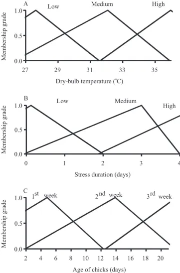 Figure 1.   Membership  curves  of  neuro‑fuzzy  network  (NFN) input variables for stress temperature (t db , °C) (A),  stress duration (D, days) (B), and age of chicks (A, days) (C)  observed for chicks.