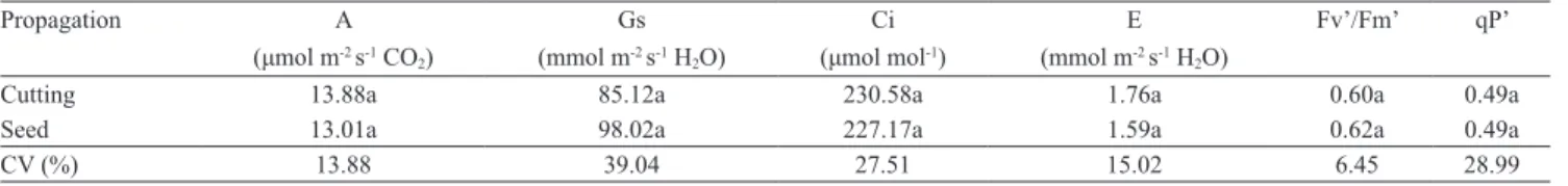 Table 3. Net photosynthesis (A), stomatal conductance to water vapor (gs), internal CO 2  concentration (Ci), transpiration  (E), and two parameters for chlorophyll fluorescence (Fv'/Fm', qP) of Coffea canephora 'Conilon' plants propagated by seed  or cutt