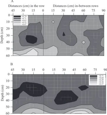 Figure 2. Spatial distribution of: A, root surface area  (cm 2  dm ‑3 ); B, root length (m dm ‑3 ); and C, root volume  (mm 3 ) for Coffea canephora 'Conilon' propagated by seed  or cuttings, at different horizontal distances and depths