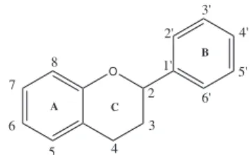 Figura 1. Estrutura básica dos flavonoides