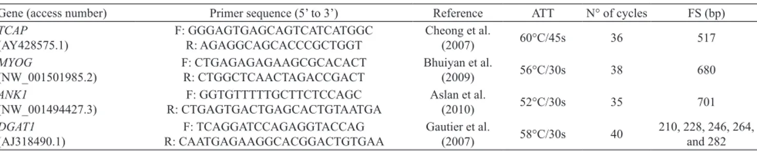 Table 1. Forward (F) and reverse (R) primers and their references, annealing temperatures and time (ATT), number of cycles,  and fragment size (FS) used to amplify TCAP, MYOG, ANK1, and DGAT1 genes in cattle.