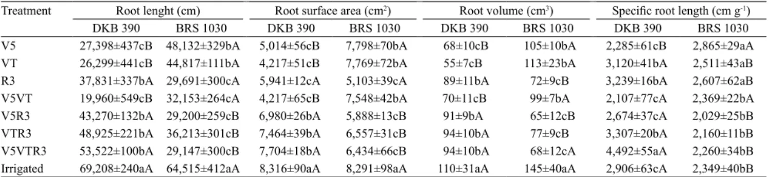 Table 1. Morphological characteristics of roots of two corn (Zea mays) hybrids contrasting for drought tolerance (DKB 390,  tolerant; and BRS 1030, susceptible) at different stages of development (1) .
