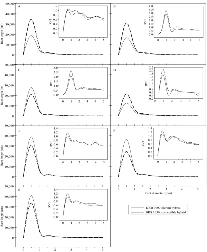 Figure 1. Root length distributed by diameter classes in two corn (Zea mays) hybrids contrasting for drought tolerance at  different stages of development: A, V5; B, VT; C, R3; D, V5VT; E, V5R3; F, VTR3; and G, V5VTR3