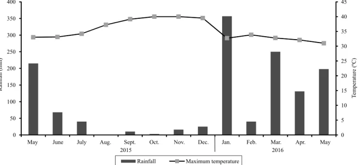 Figure 1. Data on rainfall and maximum temperatures recorded during the experiment. 