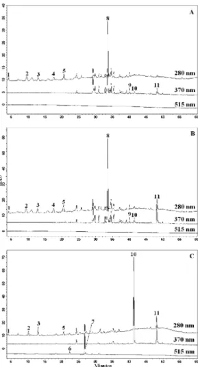 Tabela 2. Concentração de compostos fenólicos das folhas de Inga edulis em frações, antes e após fracionamento por SPE-C 18  e após hidrólise ácida