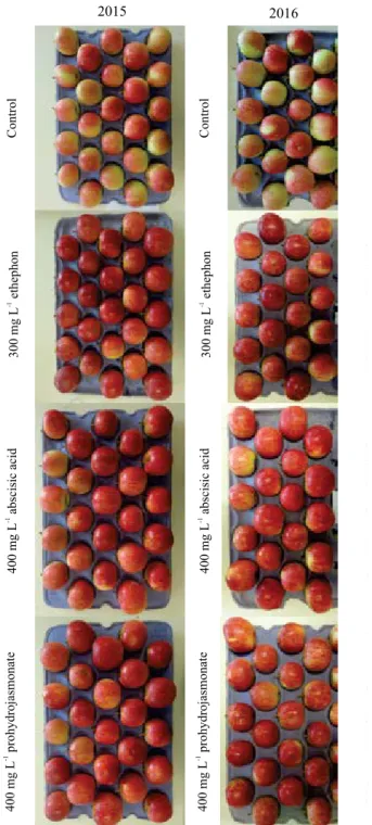 Figure 1. Color appearance of the sun-exposed side of 'Gala  Standard' apple (Malus domestica) fruits, at commercial  harvest, subjected to the application of different plant  growth regulators in the 2015 and 2016 crop seasons.