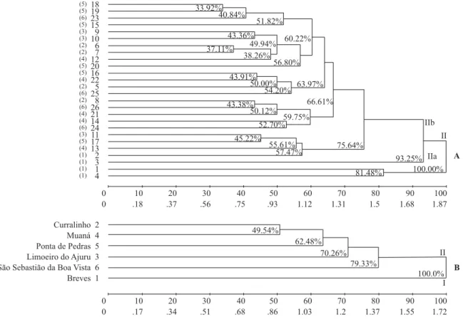 Figure 1. Groups formed by the unweighted pair group method with arithmetic mean (UPGMA) among 26 accessions (A)  and six sources (municipalities) (B) of white-type acai palm (Euterpe oleracea), stored in the active acai palm germplasm  bank of Embrapa Ama