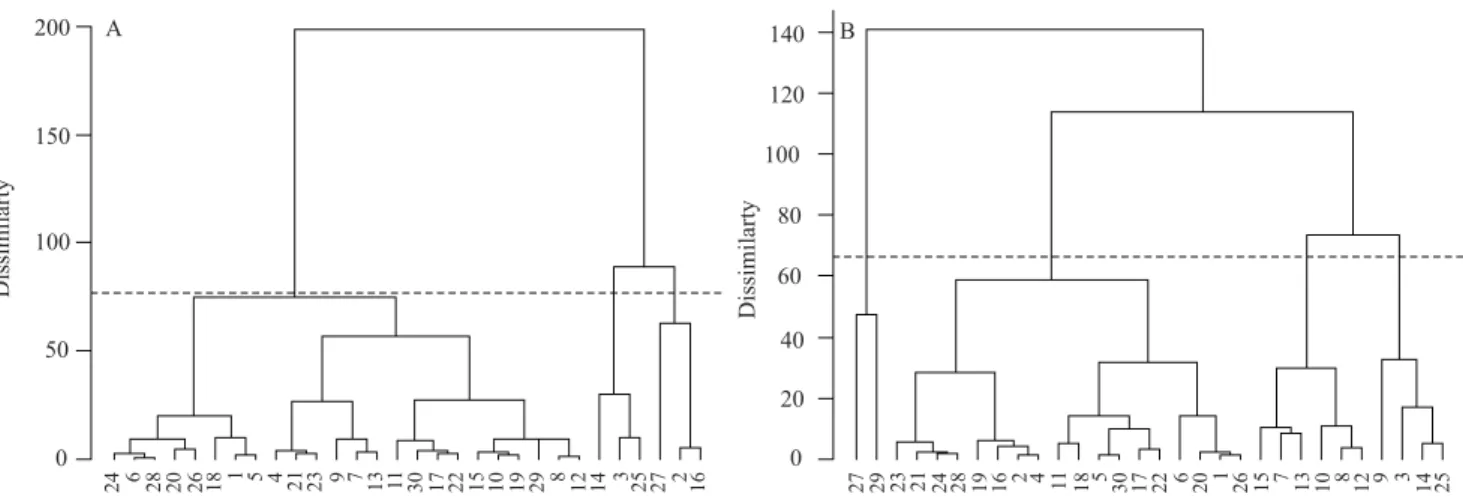 Figure 1. Dendrogram obtained from the grouping of the estimates for  β 1  and  β 3  parameters of the logistic model, with the  30 garlic ( Allium sativum ) accessions analyzed by the frequentist (A) and Bayesian (B) approaches.