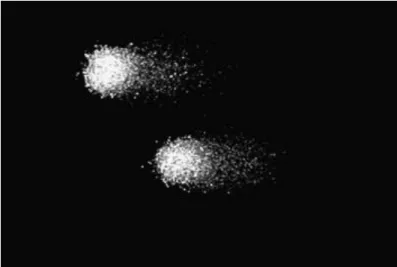 Figure  10.  Image  obtained  in  the  comet  assay  (Singh,  2016) 