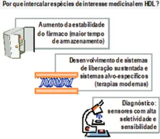 Figura 4. Principais motivações dos trabalhos realizados sobre intercalação  em HDL de espécies orgânicas de interesse medicinal