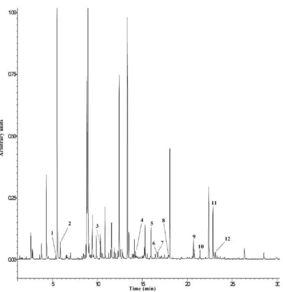 Figure 2- Chromatographic profile of volatile compounds of G.max aerial parts by HS-SPME-GC- HS-SPME-GC-IT-MS  (fullscan  acquisition)