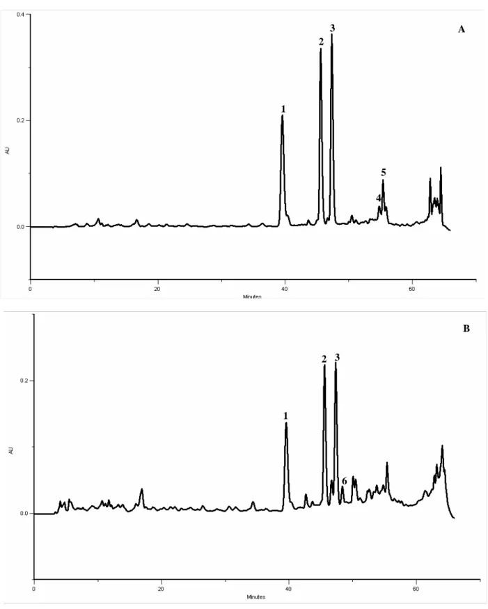 Figure 4- HPLC-DAD phenolics profile of G. max aerial parts. Detection at 350 nm (A) and at 280  nm (B)