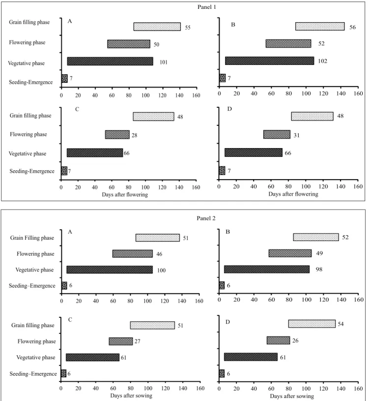 Figure 2. Timing and duration of critical developmental phases of soybean (Glycine max) as a function of days  after sowing (DAS), in the municipalities of Cachoeirinha (panel 1) and Santa Maria (panel 2), for the cultivars  TECIRGA 6070RR (1 A, 1 B, 2 A, 