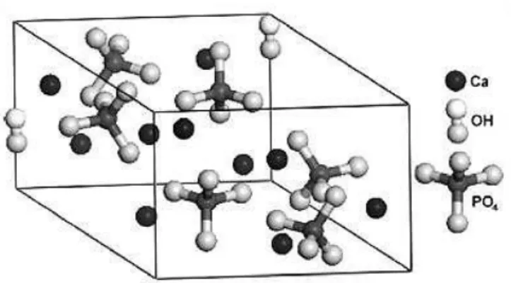 Figure 3 - Unit of hydroxyapatite hexagonally crystalline structure. (Adopted from White et