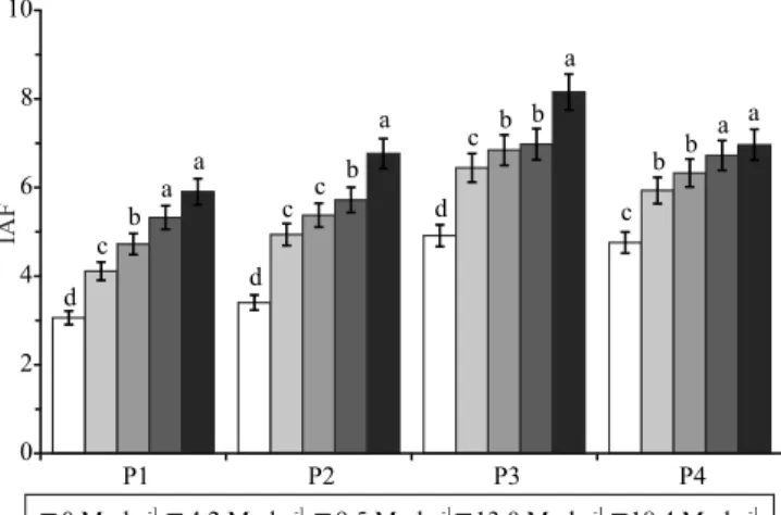 Figura 2.   Índice  de  área  foliar  (IAF)  da  cana-de-açúcar  (Saccharum officinarum) cultivada em Plintossolo  Argilú-vico coberto com diferentes níveis de palhada, nos quatro  períodos de avaliação (P1 a P4) ao longo do seu ciclo de  cultivo, em julho