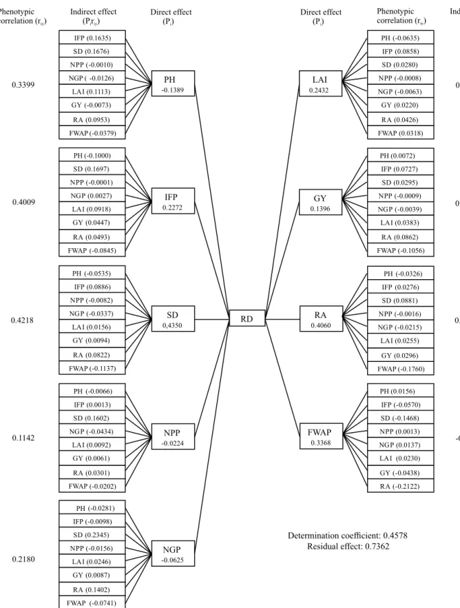 Figure 1. Estimates of direct and indirect effects on the root distribution (RD) by the characters plant height (PH), insertion  of the first pod (IFP), stem diameter (SD), number of pods per plant (NPP), number of grains per plant (NGP), leaf area index  