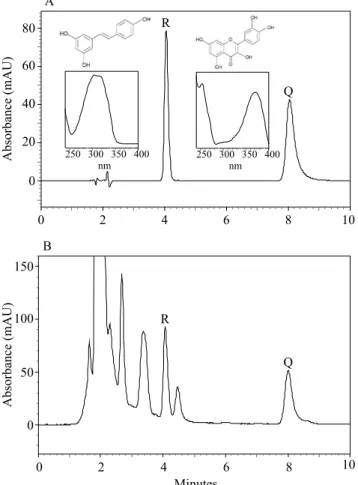 Figure 1. Chromatograms at 340 nm, obtained by HPLC- HPLC-DAD method for: standard solution of trans-resveratrol (R)  and quercetin (Q), at 10 mg L -1  concentration, with their  respective chemical structures and UV spectra (A), and  'Merlot' 2 red wine (