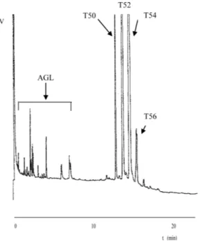 Figura 1. Cromatograma dos triacilglicerídeos do óleo de Nim (A. indica)  por HT-HRGC/FID