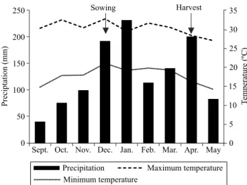 Figure 1. Precipitation, maximum temperature and  minimum temperature at Piracicaba, state of São Paulo,  from 2012/2013 growing season.
