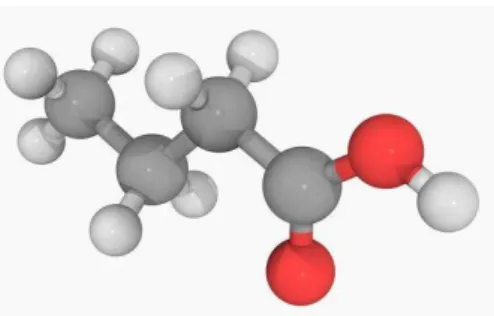 Figura 6 - Molécula de ácido butírico (Fonte: 