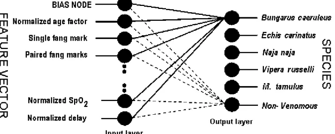 Figure 1: Neural network topology, feature vector as input and species as output. 