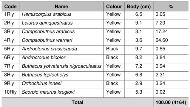 Figure 2. Hemiscorpius arabicus collected in the Riyadh region. 