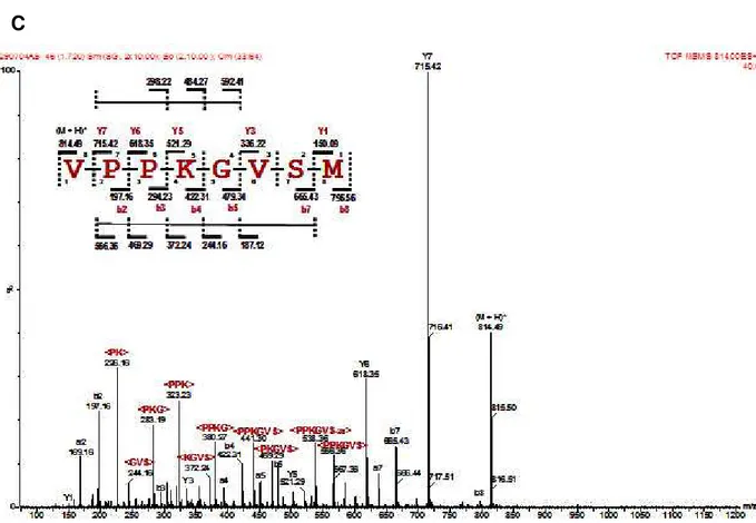 Figure 3. Representative CIF spectra of (A) m/z = 406.28, (Pnor 3; [M+2H] 2+ ), (B)  m/z=498.86, (Pnor 5; [M+2H] 2+ ), and (C) m/z=814.37, (Pnor 7; [M+H] + ) and  respective annotations and sequence deduction