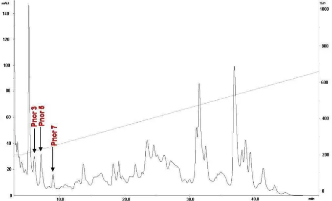 Figure 1. RP-HPLC profile of P. nordestina pooled crude skin secretions after solid  phase extraction, performed according to material and methods section