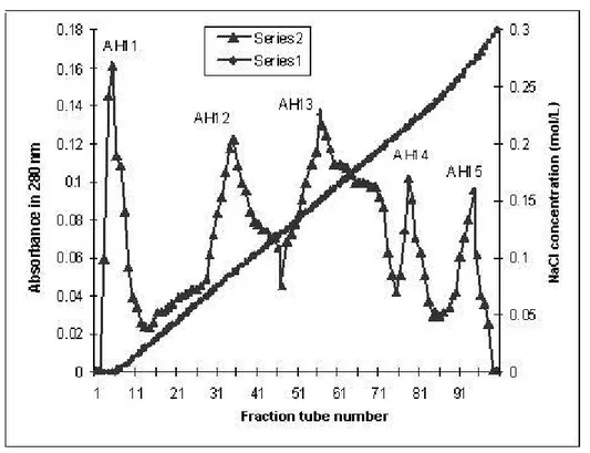 Figure 2. DEAE-Sepharose chromatography of AH1 fraction obtained from  Sephadex G-50. The pooled fractions from Figure 1 were applied to  DEAE-Sepharose column (2.5 x 20 cm) equilibrated with 0.05 M Tris-HCl buffer (pH 8.2)