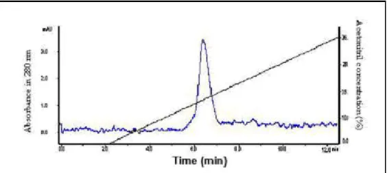 Figure 4. Purity assay of AH143 by HPLC. 
